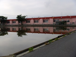 yane 380.jpg