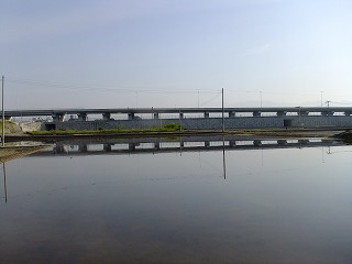 yane 448.jpg
