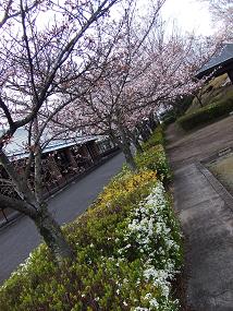 横浜 234.jpg