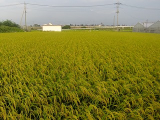 yuma 010.jpg