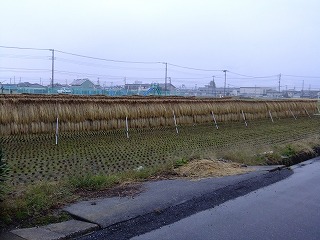 ゆま 203.jpg