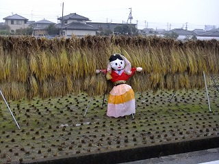 ゆま 214.jpg